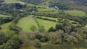 Photo 2- click for photo gallery